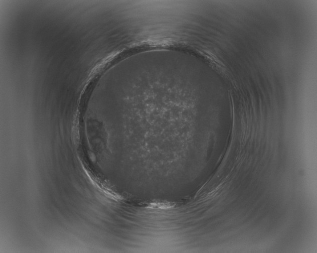 X0000056320492200509021607