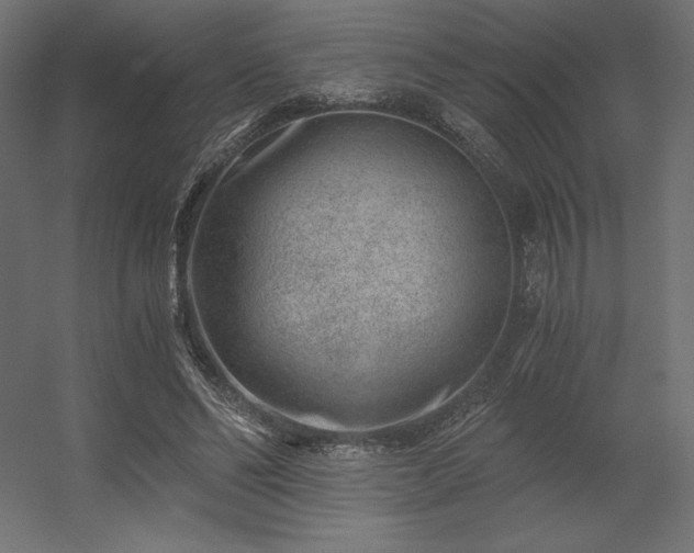 X0000056320494200509021607