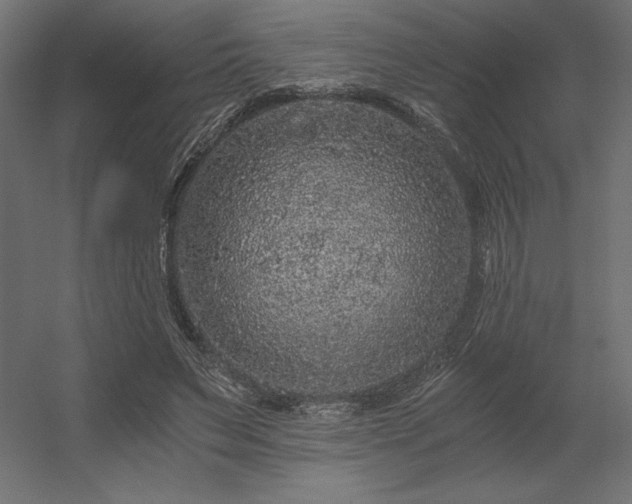 X0000056320495200509021607
