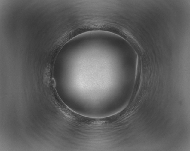 X0000056320497200509021607