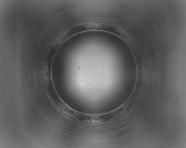 X0000056320498200509021607