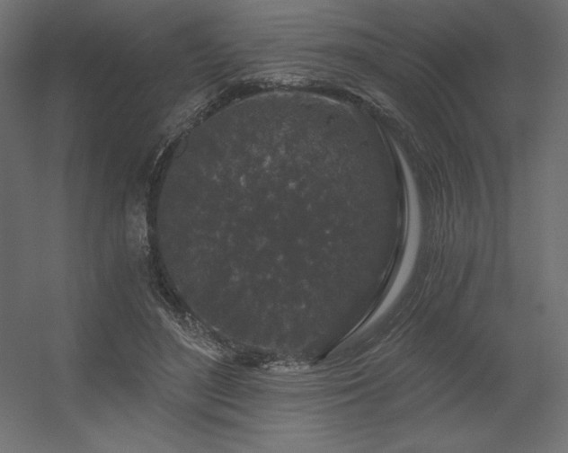 X0000056320500200509021607