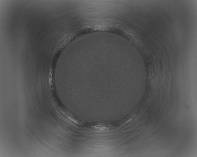 X0000056320502200509021607
