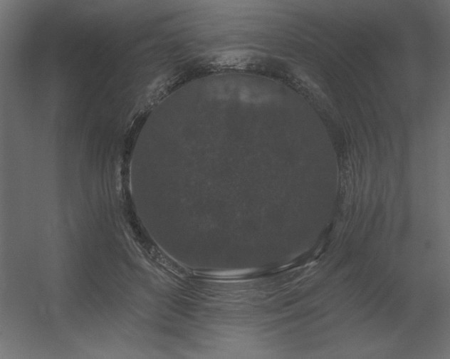 X0000056320504200509021607