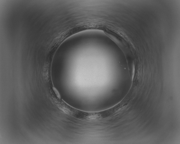 X0000056320505200509021607