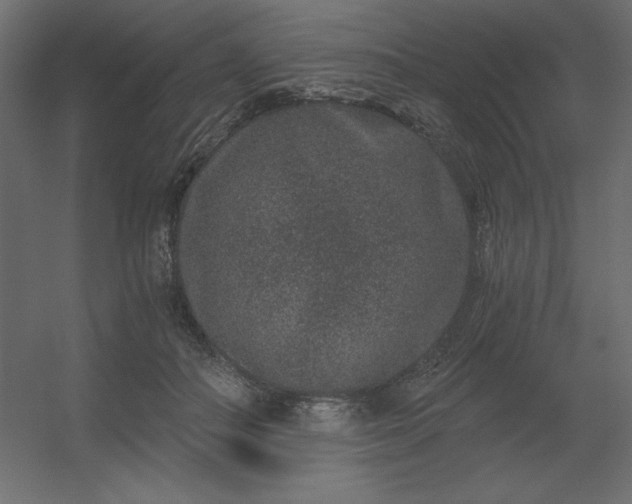 X0000056320506200509021607