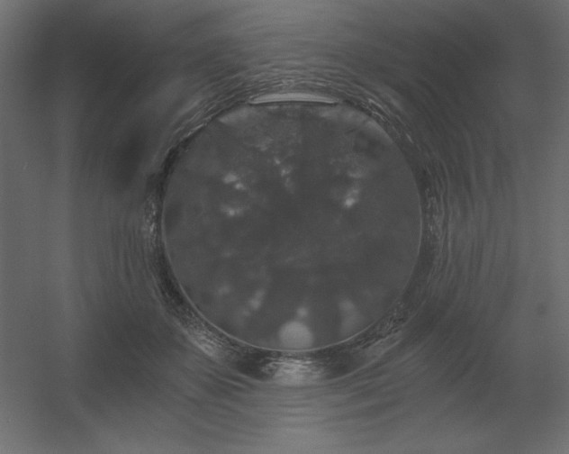 X0000056320507200509021607