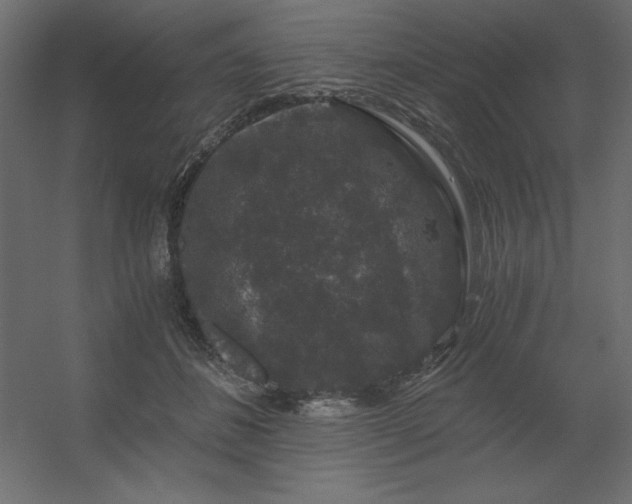 X0000056320508200509021607