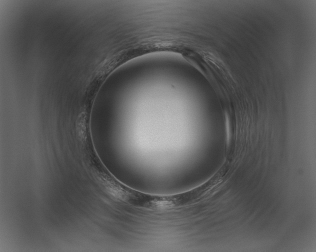 X0000056320509200509021607