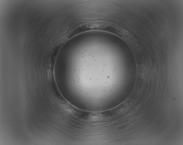 X0000056320510200509021606