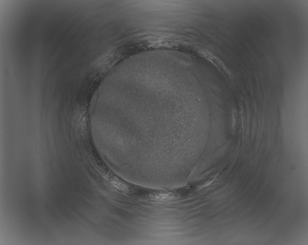 X0000056320513200509021606