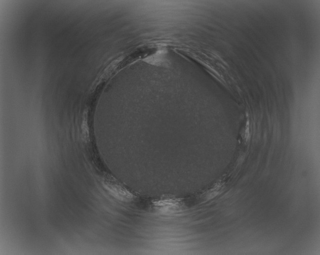 X0000056320516200509021606
