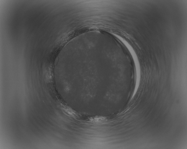 X0000056320517200509021606