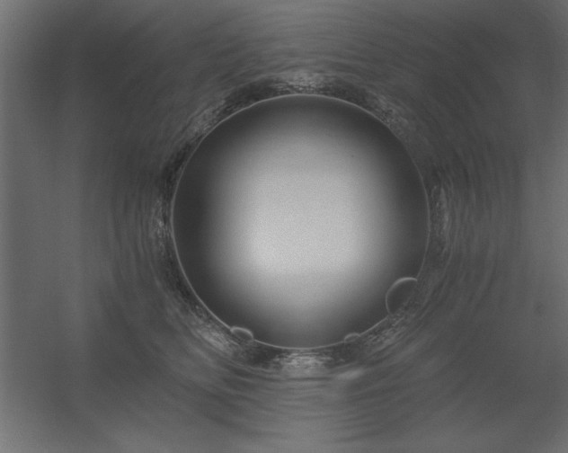 X0000056320518200509021606