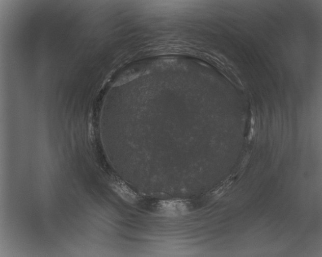 X0000056320520200509021606