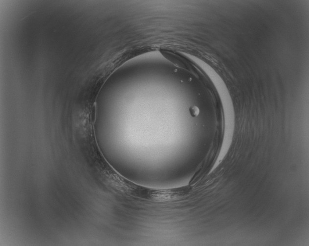 X0000056320521200509021606