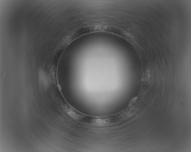 X0000056320522200509021606