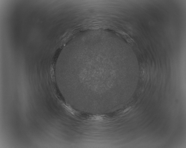 X0000056320523200509021606
