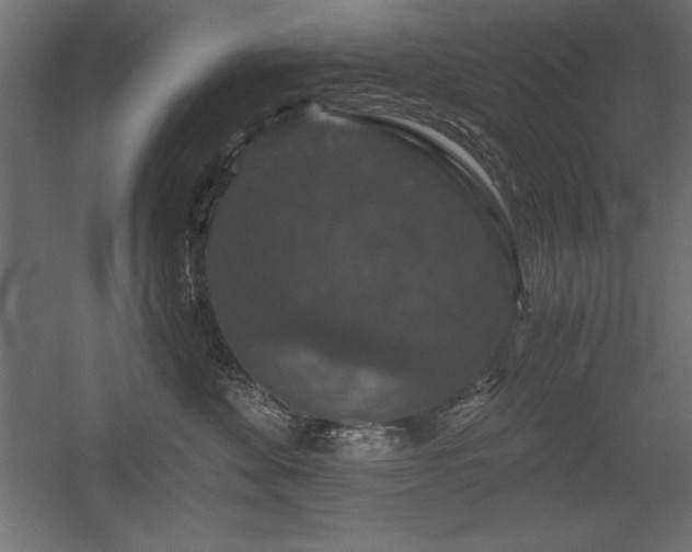 X0000056320524200509021606