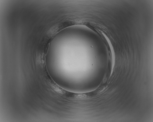 X0000056320525200509021606