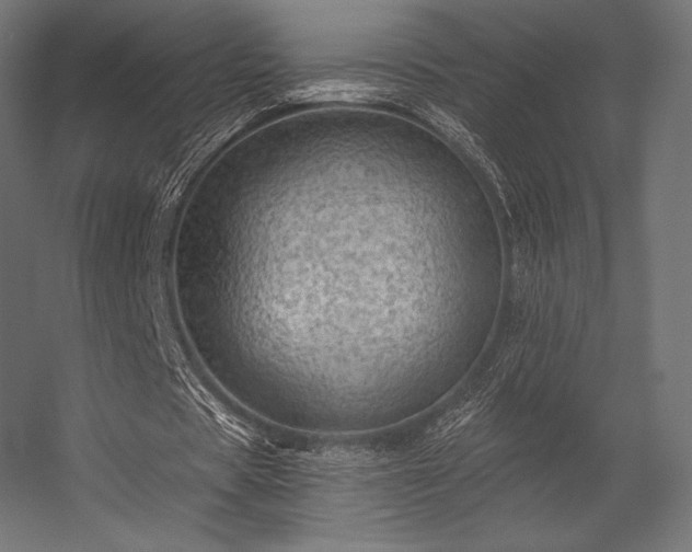 X0000056320529200509021605