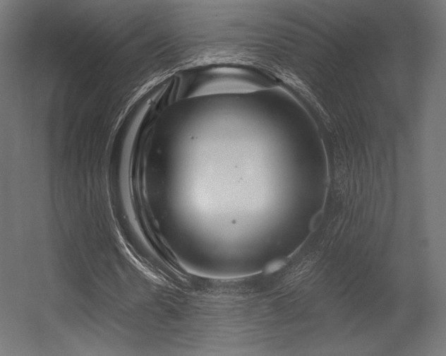 X0000056320530200509021605
