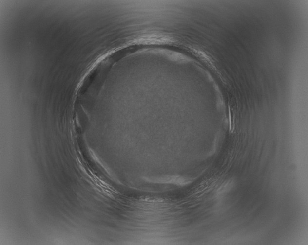 X0000056320531200509021605