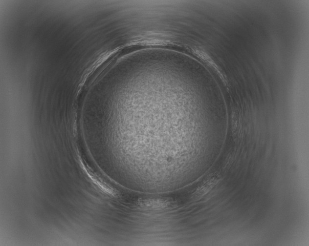 X0000056320533200509021605
