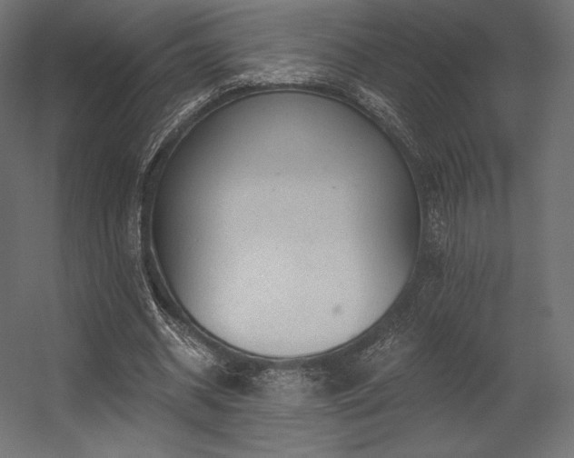 X0000056320534200509021605