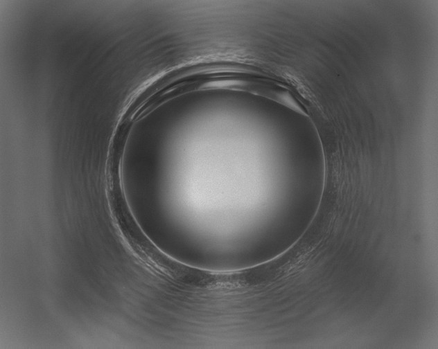 X0000056320536200509021605