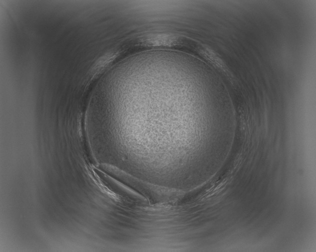 X0000056320537200509021606