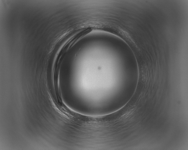 X0000056320538200509021606