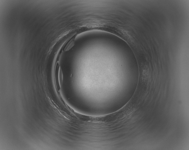 X0000056320539200509021606