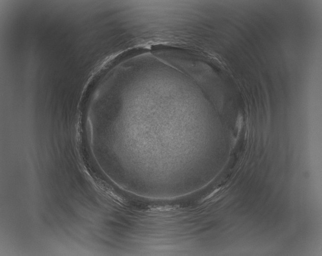 X0000056320540200509021606