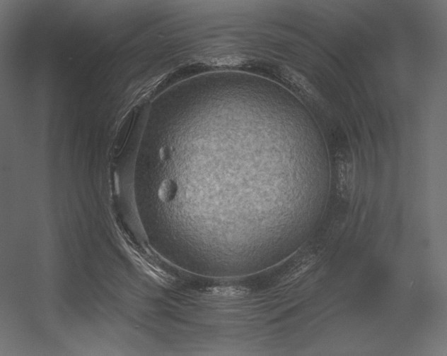 X0000056320541200509021606