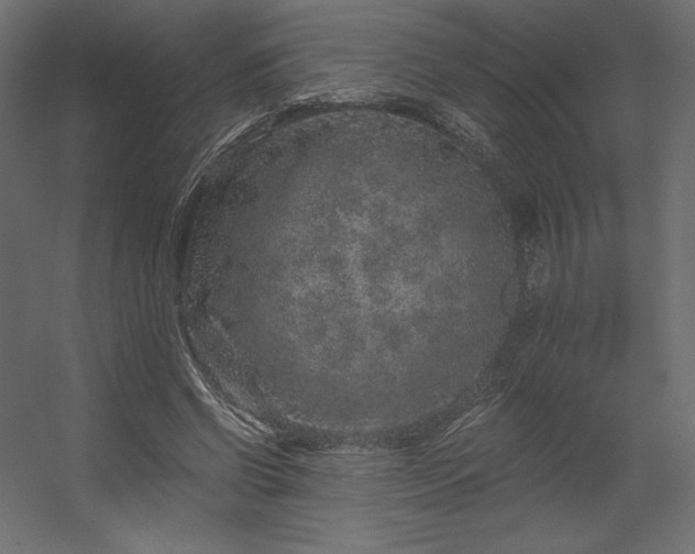 X0000056320542200509021606