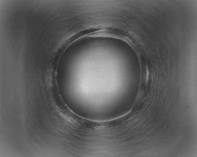X0000056320544200509021606