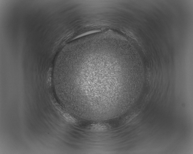 X0000056320545200509021606