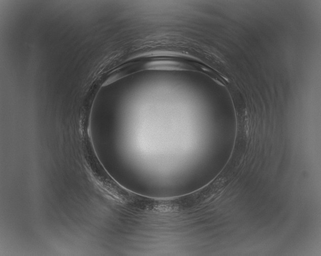 X0000056320546200509021606