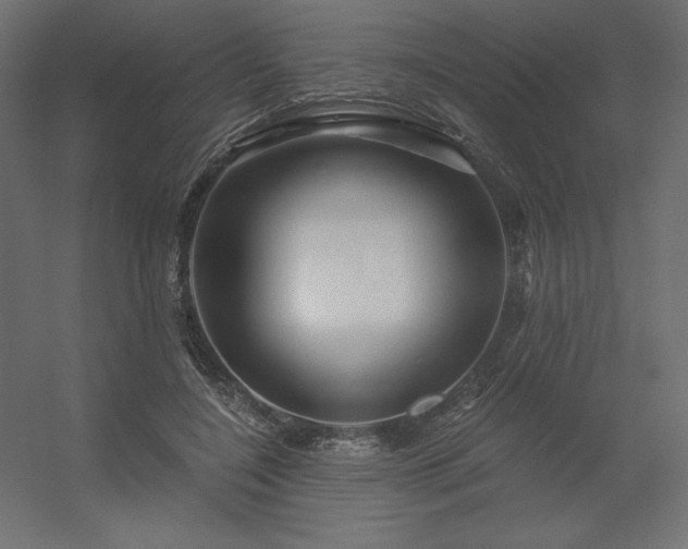 X0000056320548200509021606