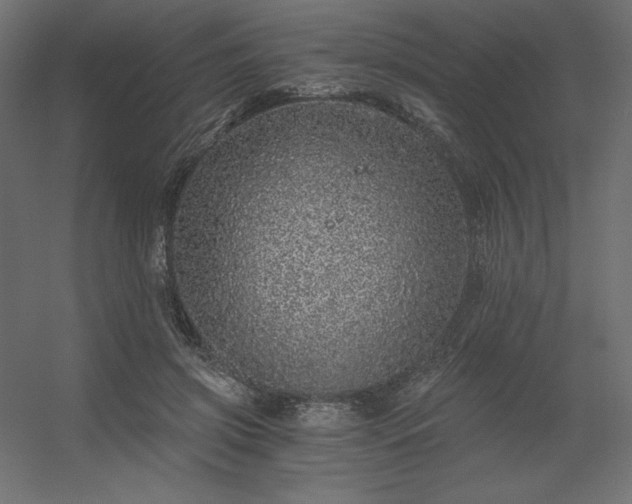 X0000056320549200509021606