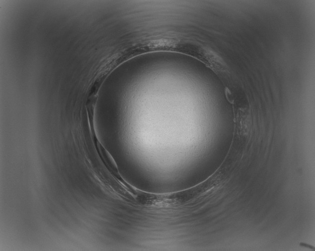 X0000056320550200509021606