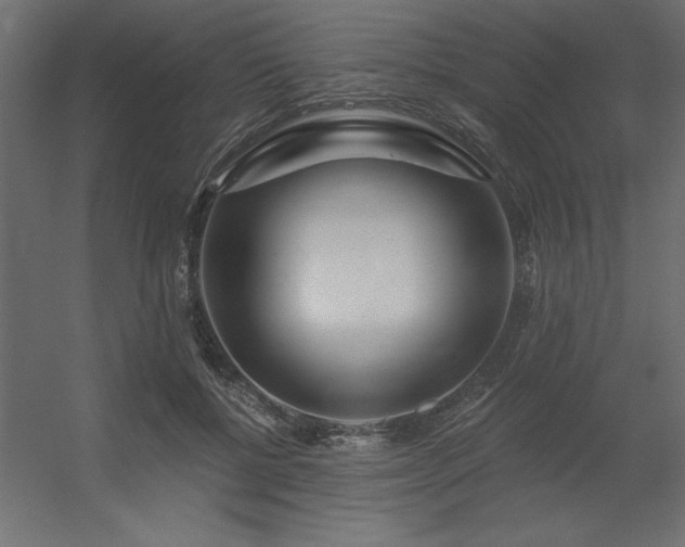 X0000056320552200509021606