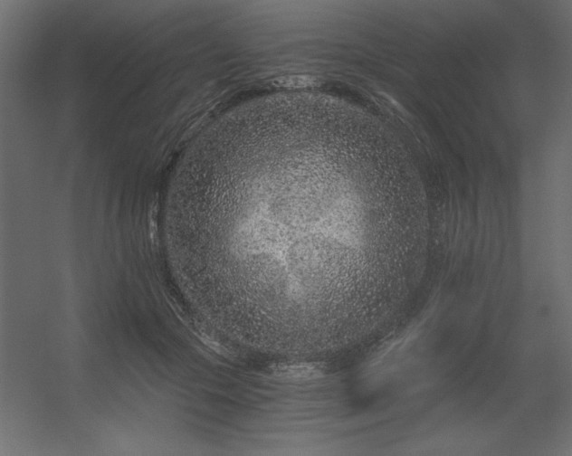 X0000056320553200509021606