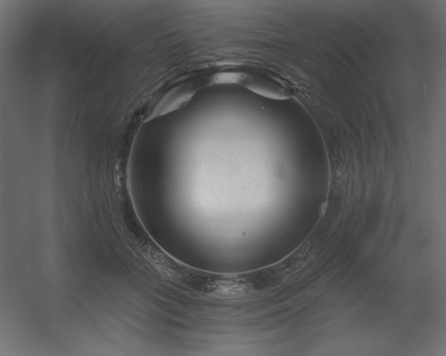 X0000056320555200509021606