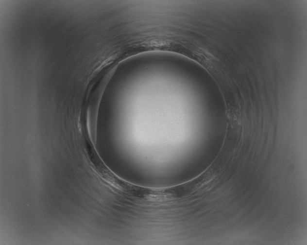 X0000056320556200509021606