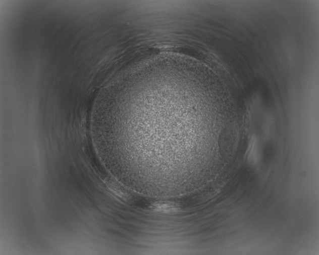 X0000056320557200509021606