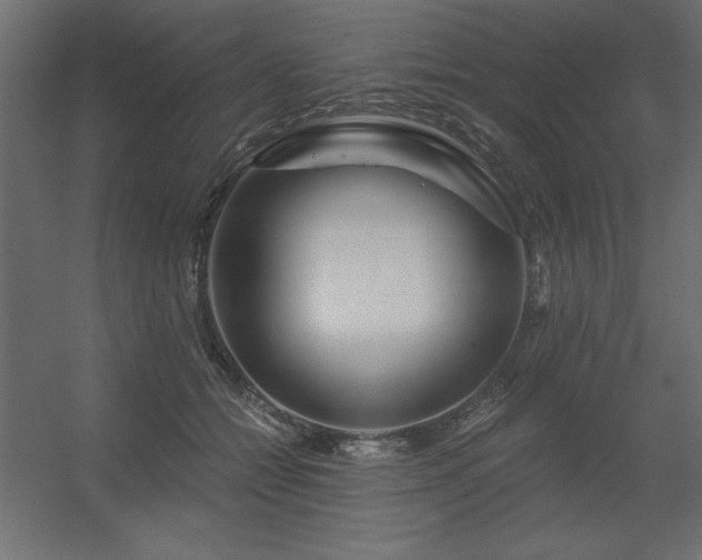 X0000056320558200509021606