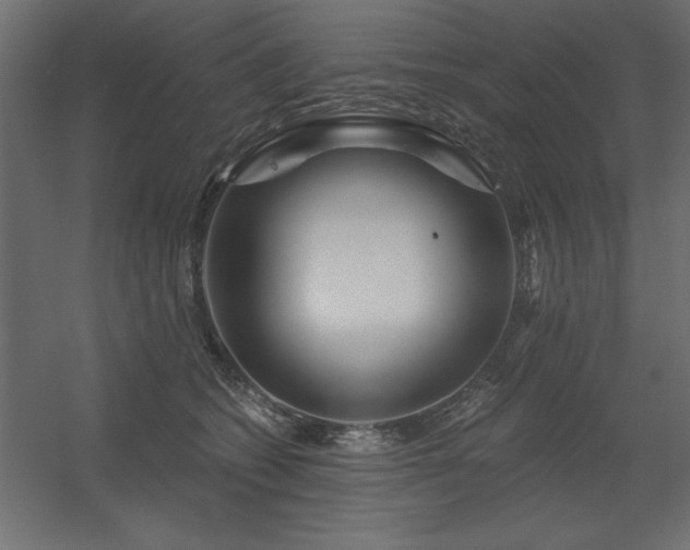 X0000056320562200509021606