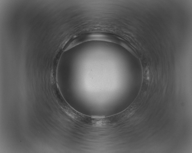 X0000056320564200509021606